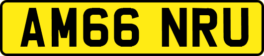 AM66NRU