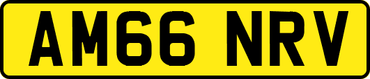 AM66NRV