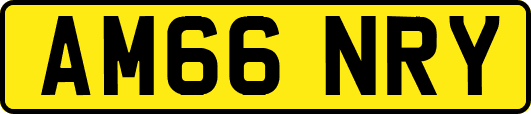 AM66NRY