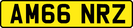 AM66NRZ