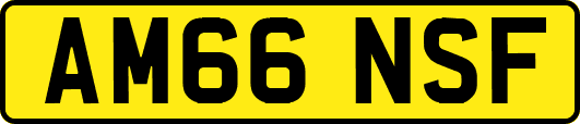AM66NSF