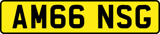 AM66NSG