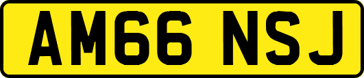 AM66NSJ
