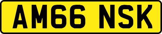 AM66NSK