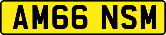 AM66NSM