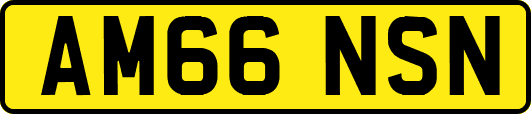 AM66NSN