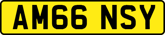 AM66NSY