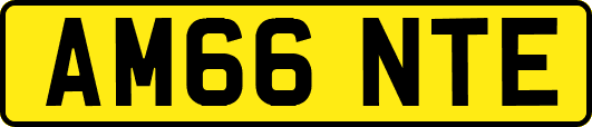 AM66NTE