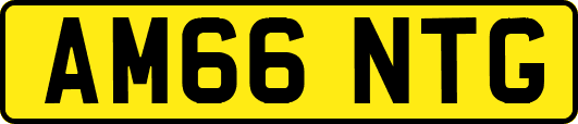 AM66NTG