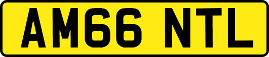 AM66NTL