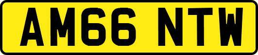 AM66NTW