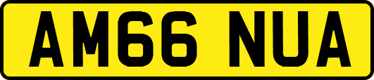 AM66NUA
