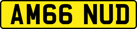 AM66NUD