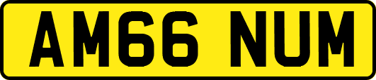 AM66NUM