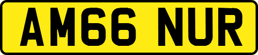 AM66NUR