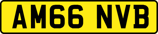 AM66NVB