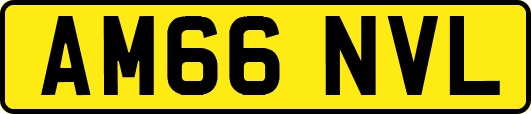 AM66NVL