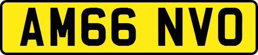 AM66NVO