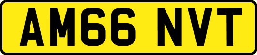 AM66NVT