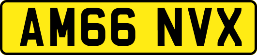 AM66NVX