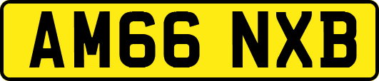 AM66NXB