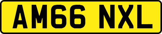 AM66NXL