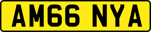AM66NYA