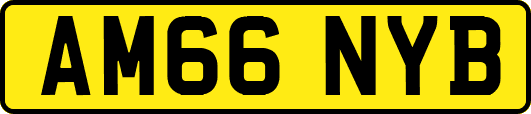 AM66NYB