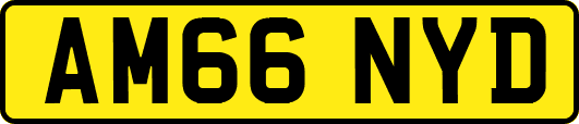AM66NYD