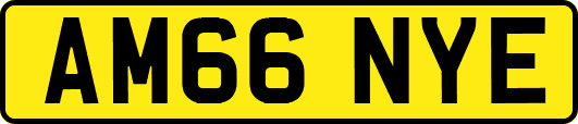 AM66NYE