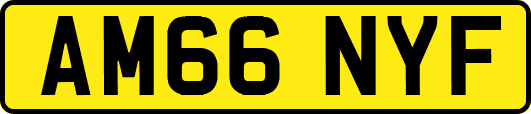 AM66NYF