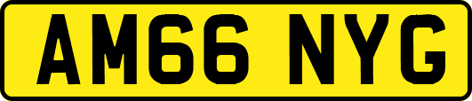 AM66NYG