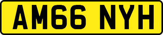 AM66NYH