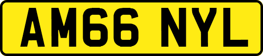 AM66NYL