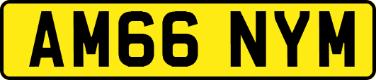 AM66NYM