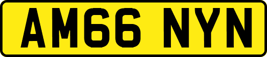 AM66NYN