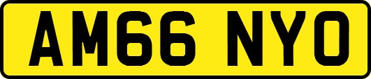 AM66NYO