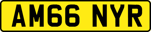 AM66NYR
