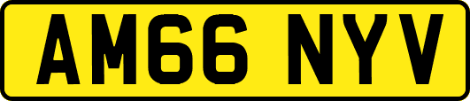 AM66NYV