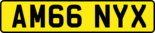 AM66NYX