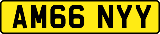 AM66NYY