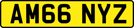 AM66NYZ
