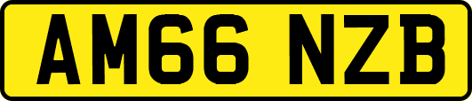 AM66NZB