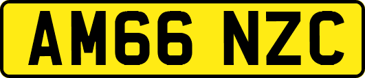 AM66NZC