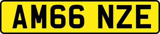 AM66NZE