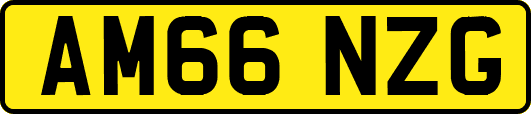 AM66NZG