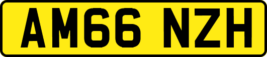 AM66NZH