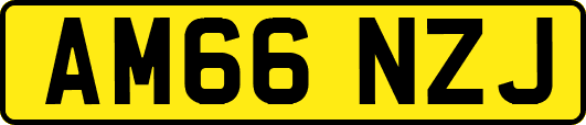 AM66NZJ