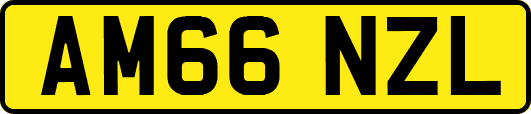AM66NZL
