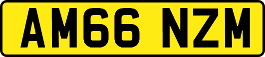 AM66NZM